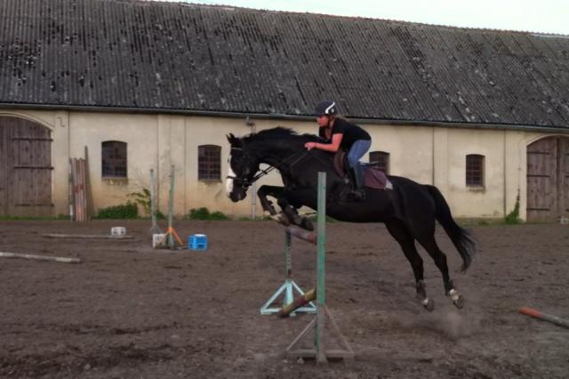 Wpis horsejumpinglove