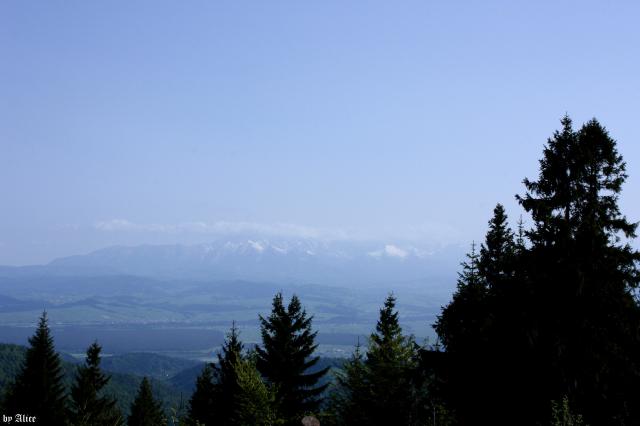 Turbacz