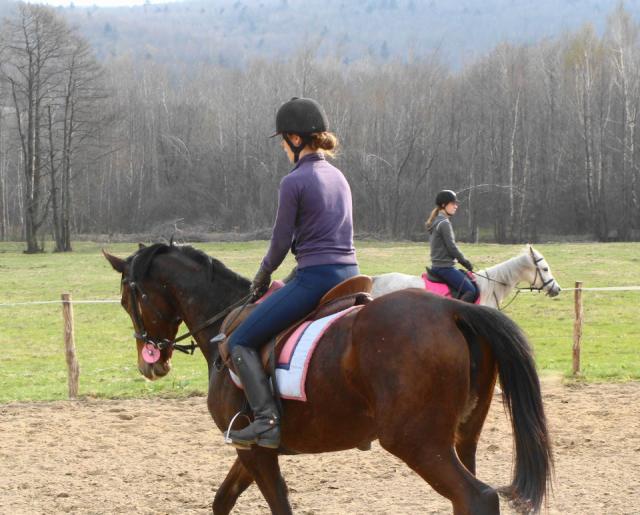 Gejsza & Zilena