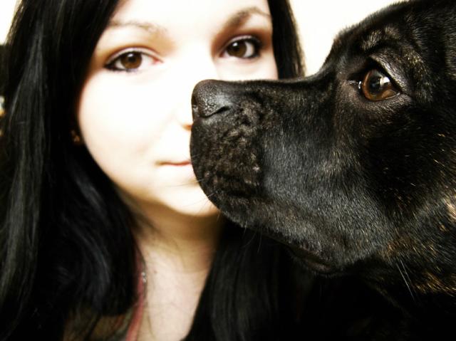 lovelove