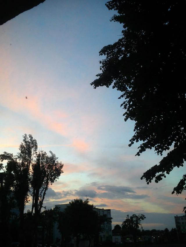 Wpis kladynaa