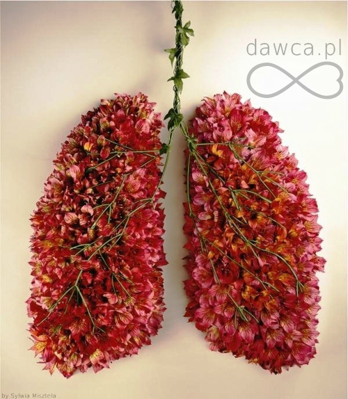Dawca.pl 