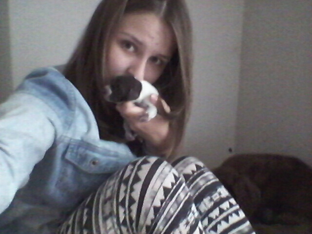 Wpis koniarowataa