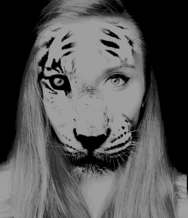 Meow ?!