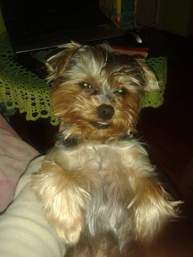 Pipi :)