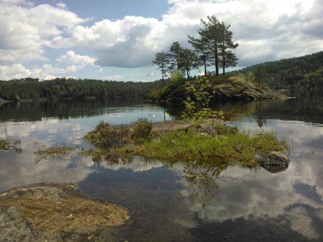 Przepraszam :*
