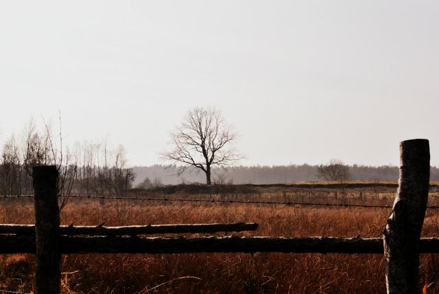Wiosna- 2014