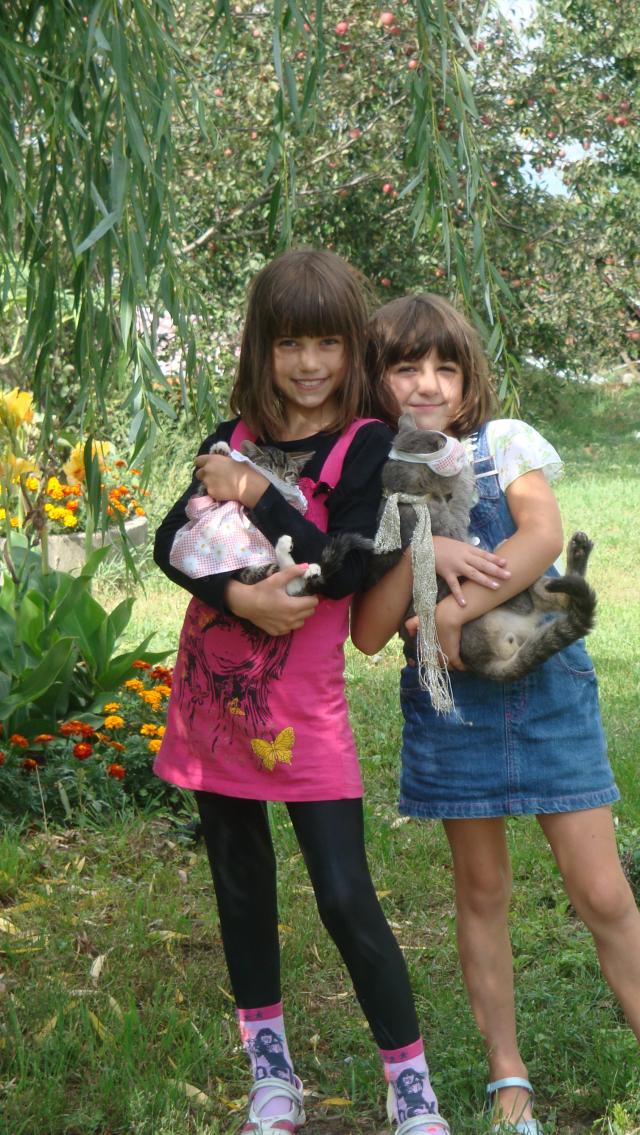 Z Wik c(: