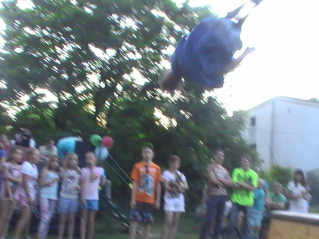 Fly