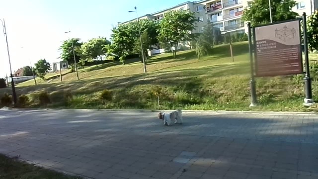Spacerek :)
