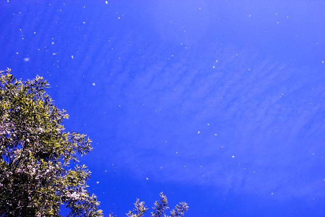 sky