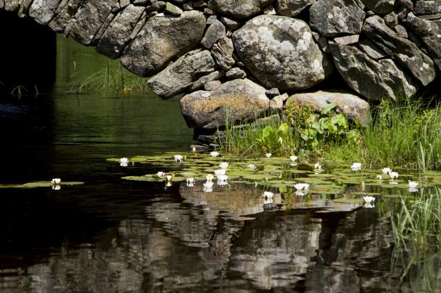 Stone and water...