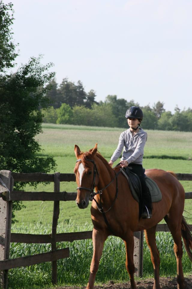 Wpis horsemember