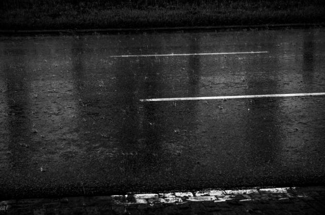 The rainy road