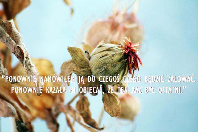 Wpis naimiemamola