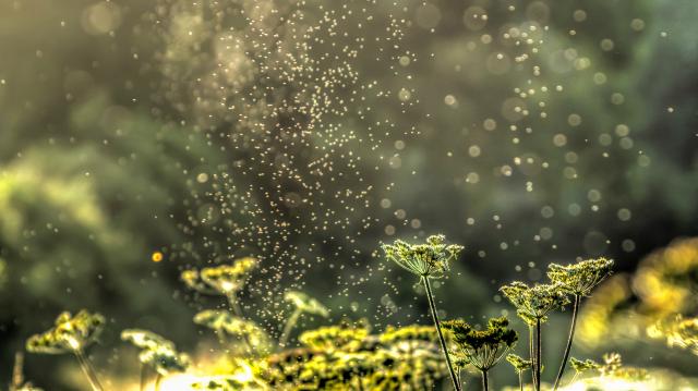 Tiny swarm