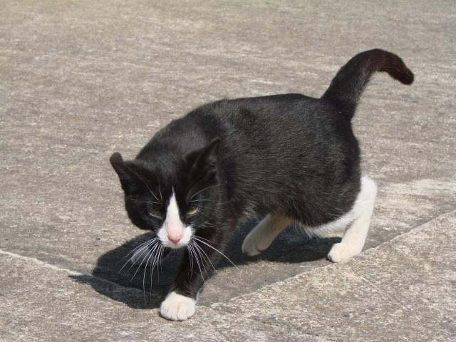1.