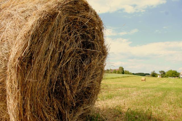 Finding a needle in a haystack