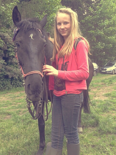 Wpis horsephoto