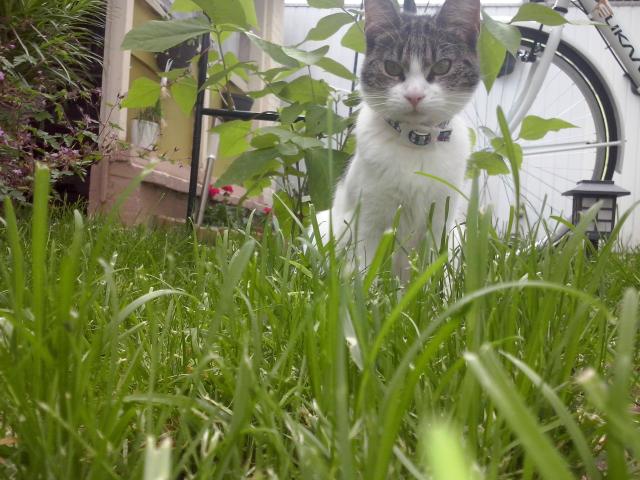 Moja maa, liczna modelka :)