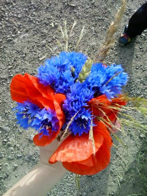 piateek *-*
