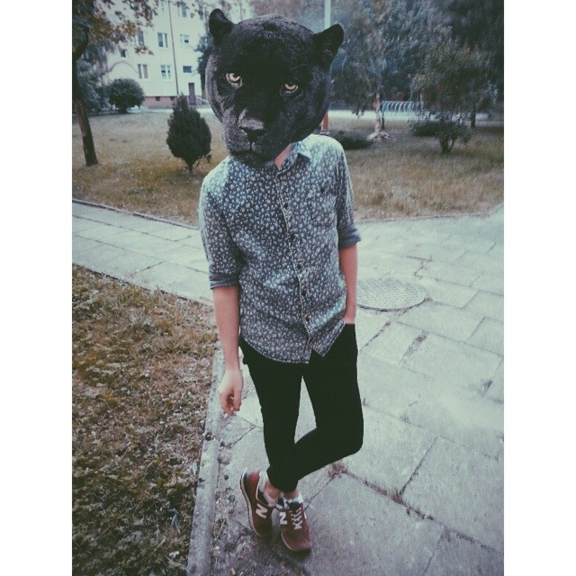 rarrrrrrrr.