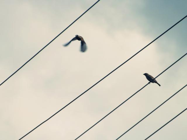 Wpis xconversely