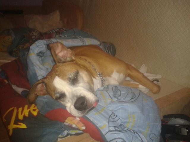 Wpis toskaffkax3