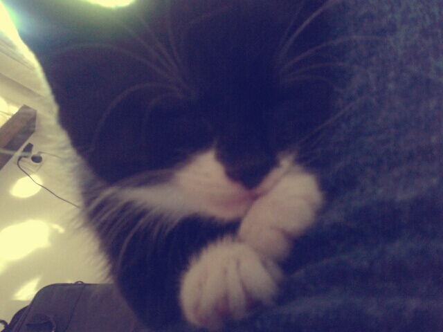 Wpis alusiekk