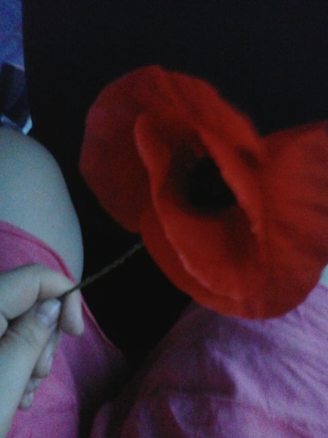 Wpis kakakrolemswiata