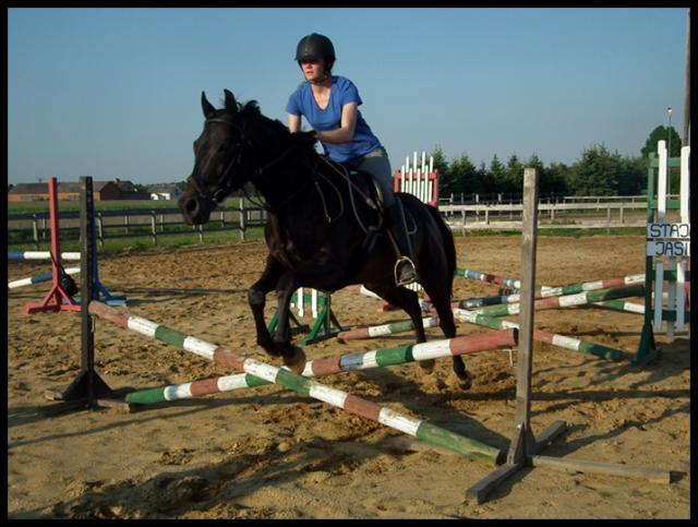 Wpis horses6