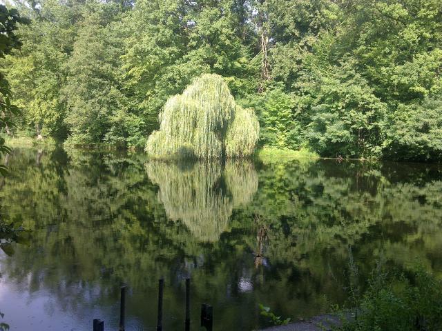 Jezioro marze...