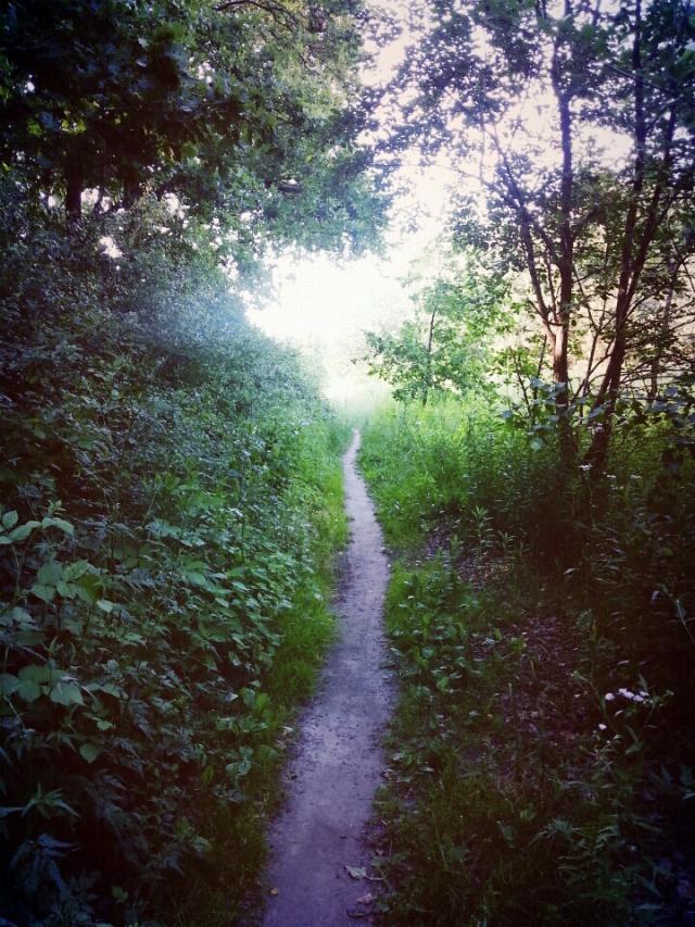 my photo, morning walk