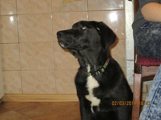 Wpis kasia455