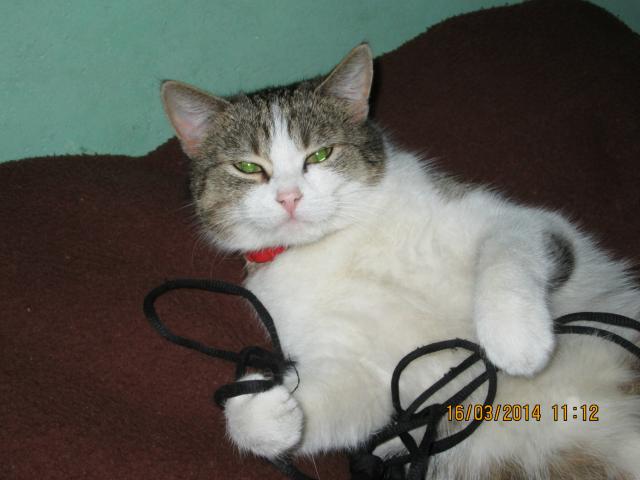 Elza :)
