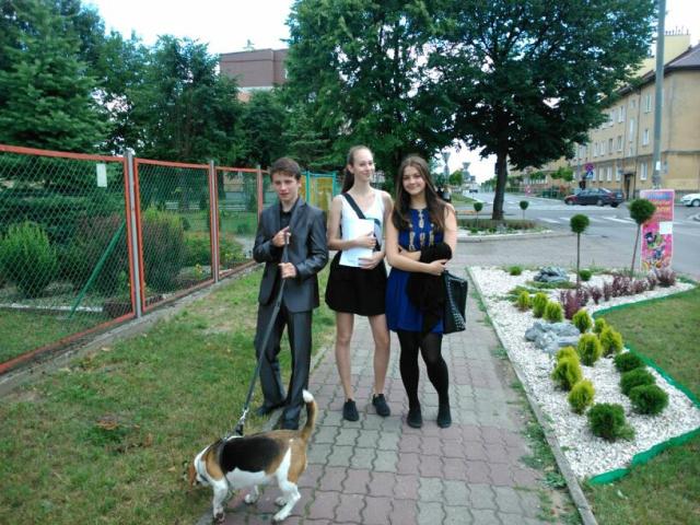 Wpis peregrine