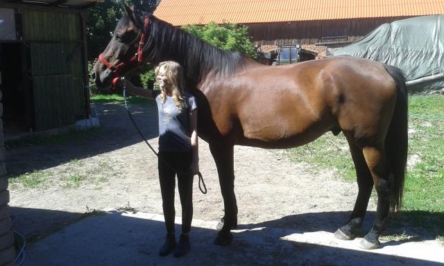 pony *.*