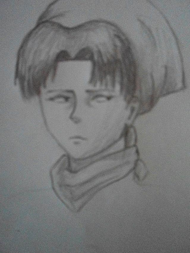 Levi