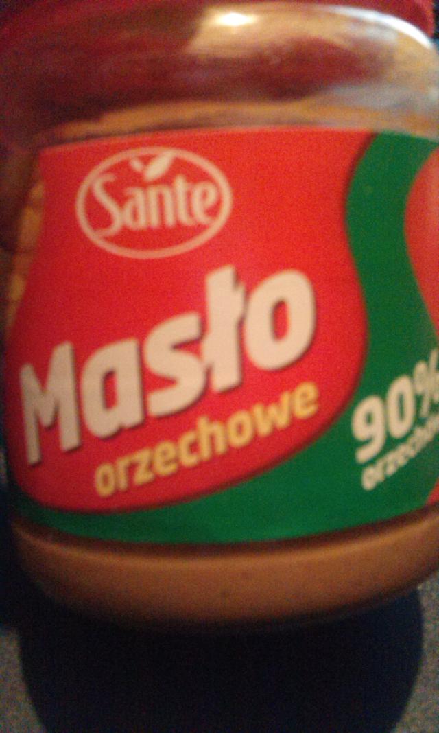 Maso