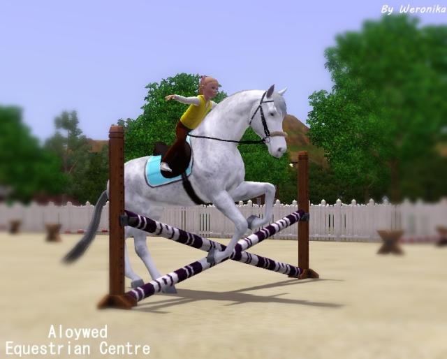 Wpis aloywedequestriancentre