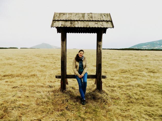 Wpis tachaa