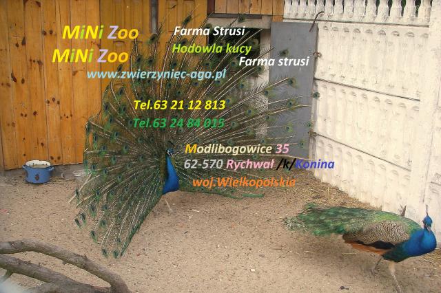 Zapraszamy do Zwiedzania