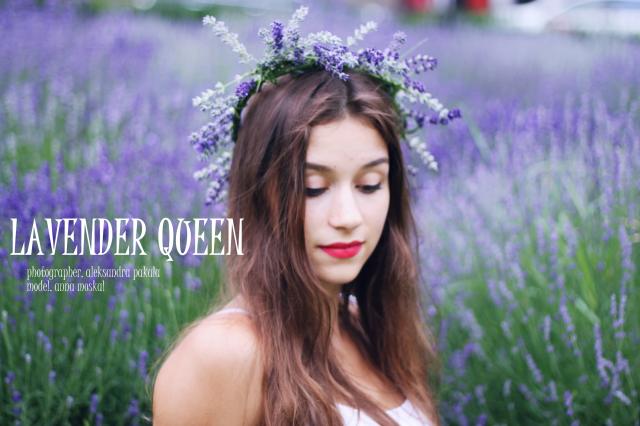 lavender queen