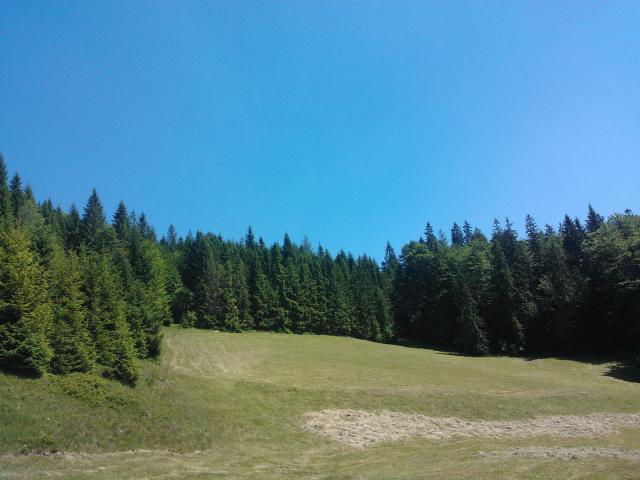 happy