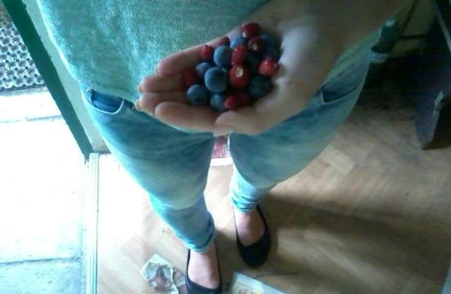 *.*