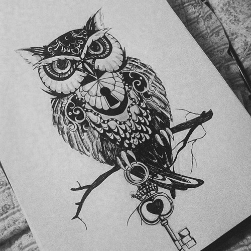 Owl