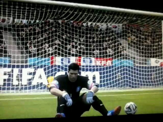 Wpis fifa14