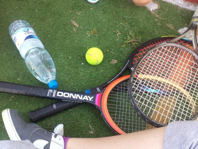 Tenis