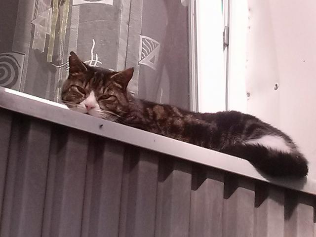 Felix :*