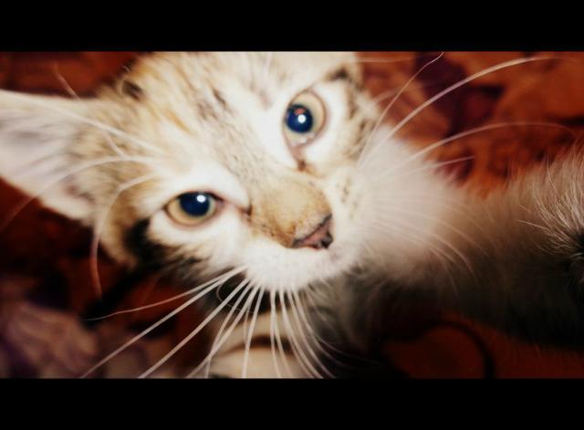 Luka :)
